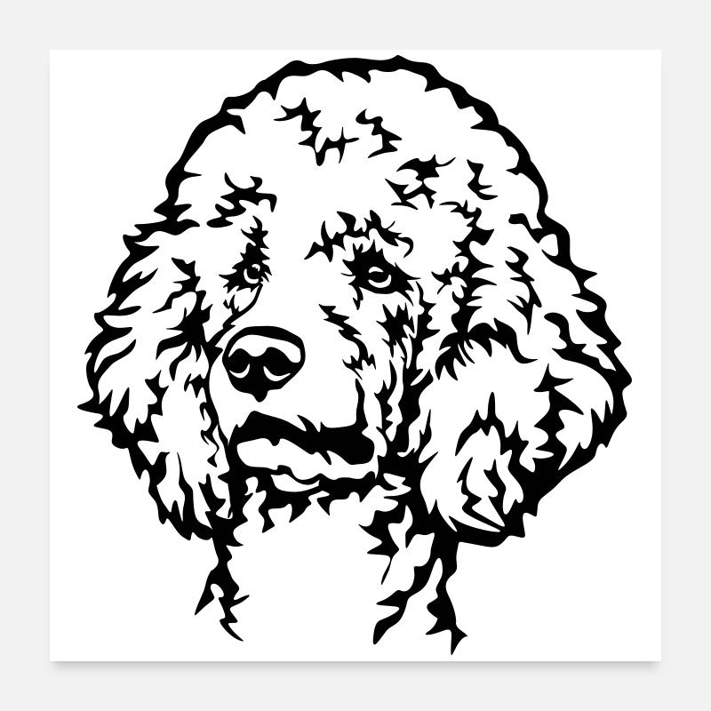 Poodle Head Poster 24" x 24" (60x60 cm)