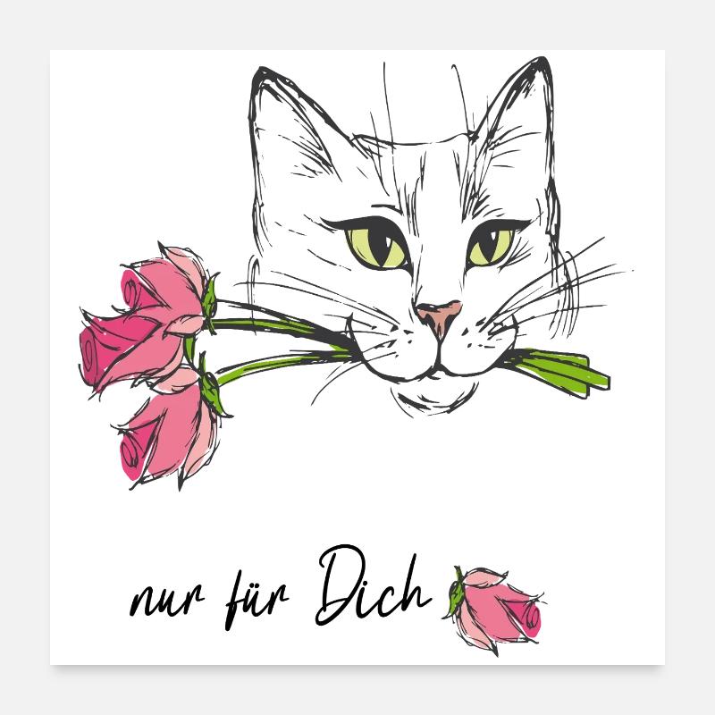 Chat aux roses Poster 60 x 60 cm