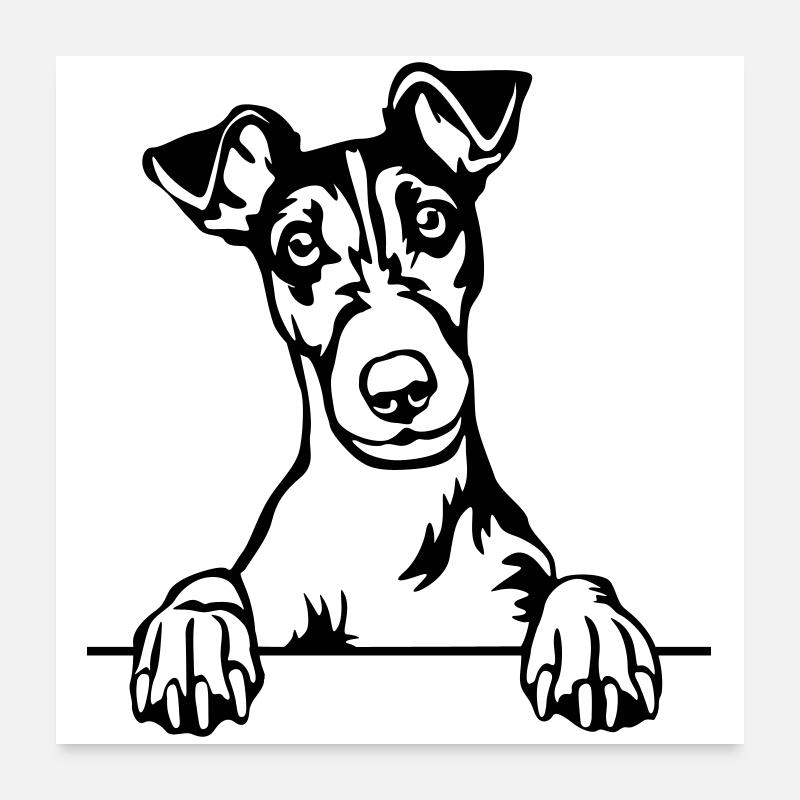 Fox Terrier Head Poster 24" x 24" (60x60 cm)