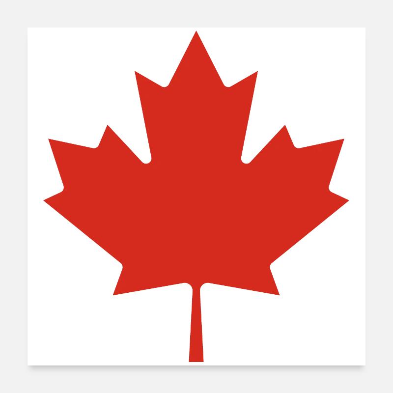 Show off your colors – Canada Poster 24" x 24" (60x60 cm)