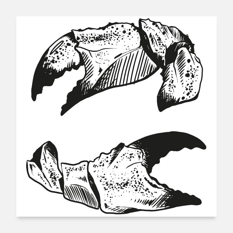 Nordique avec passion – style crabe ! Poster 60 x 60 cm