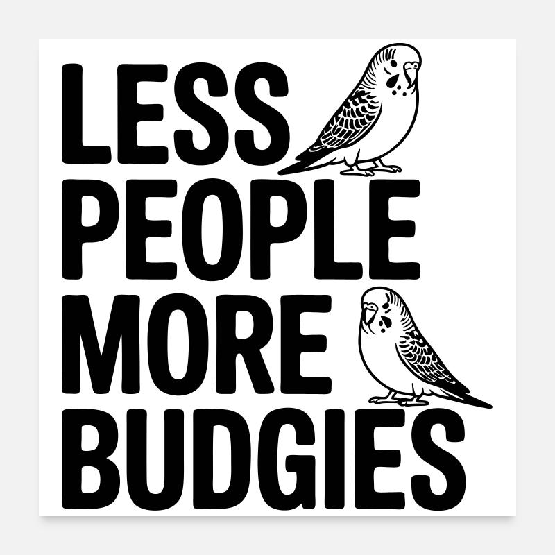 Plus de perruches ondulées Poster 60 x 60 cm