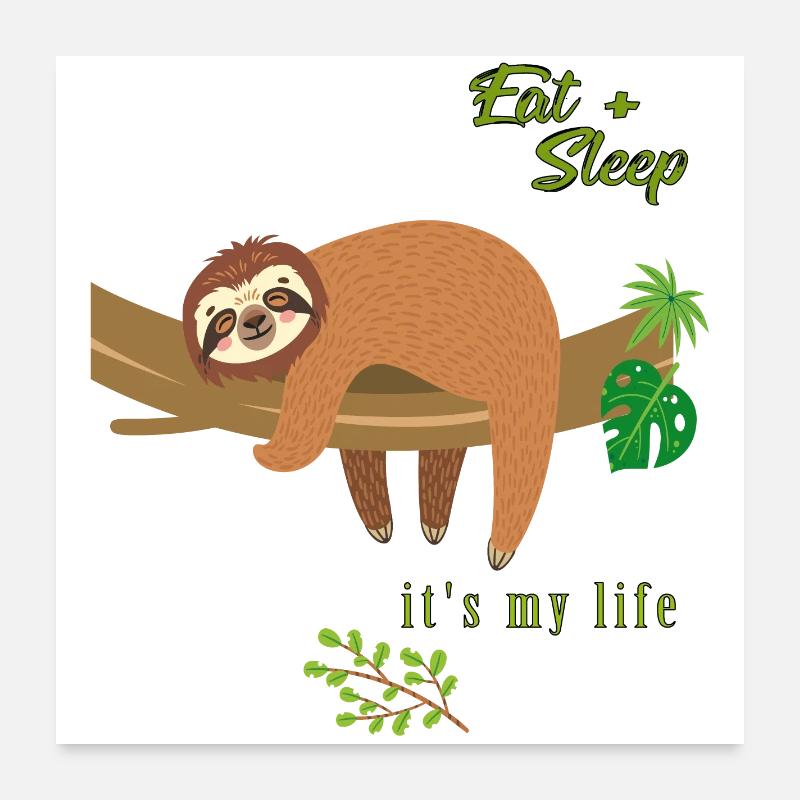 Faultier Poster 60x60 cm