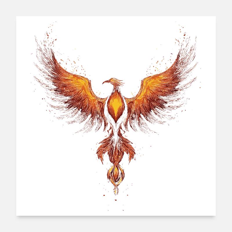 Phénix Poster 60 x 60 cm