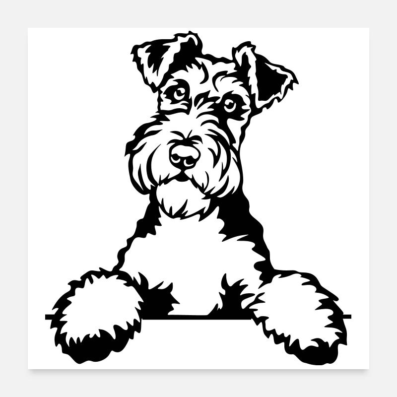 Foxterrier Kopf Poster 60x60 cm