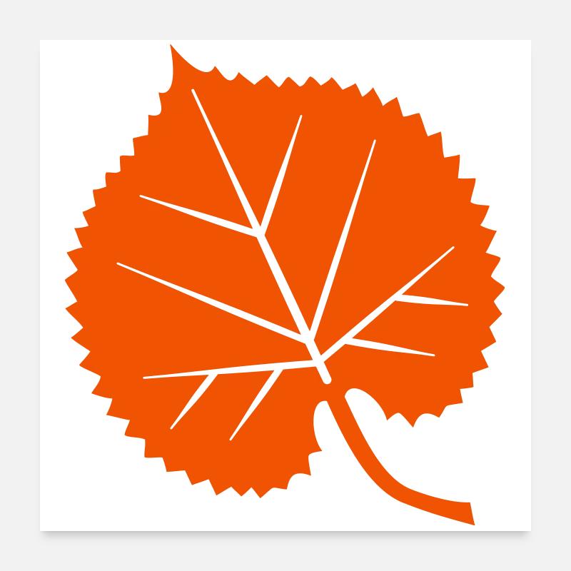 Linden leaf Poster 24" x 24" (60x60 cm)