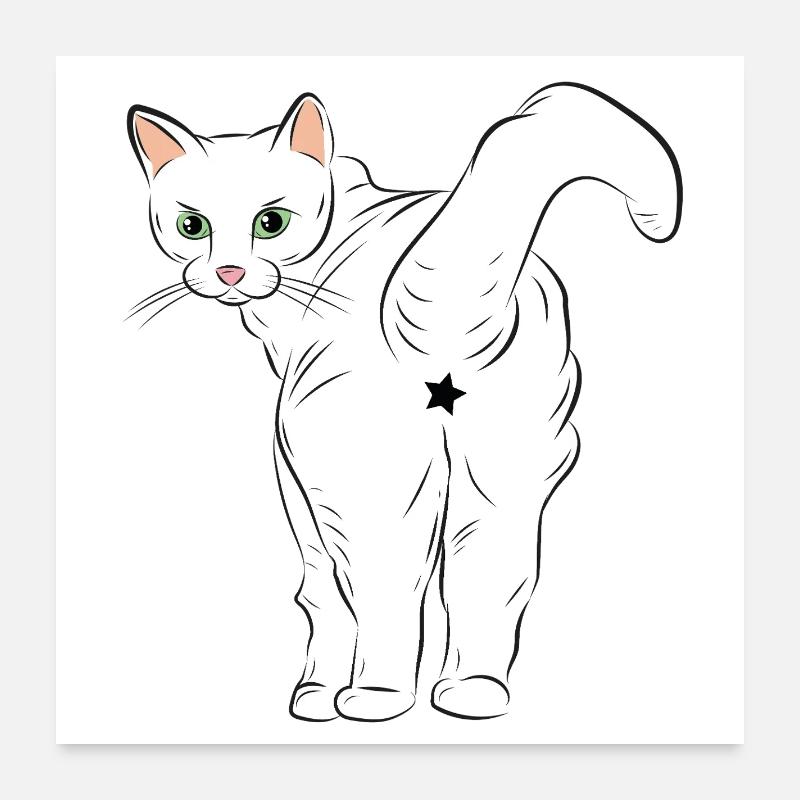Chat blanc avec logo étoile Poster 60 x 60 cm