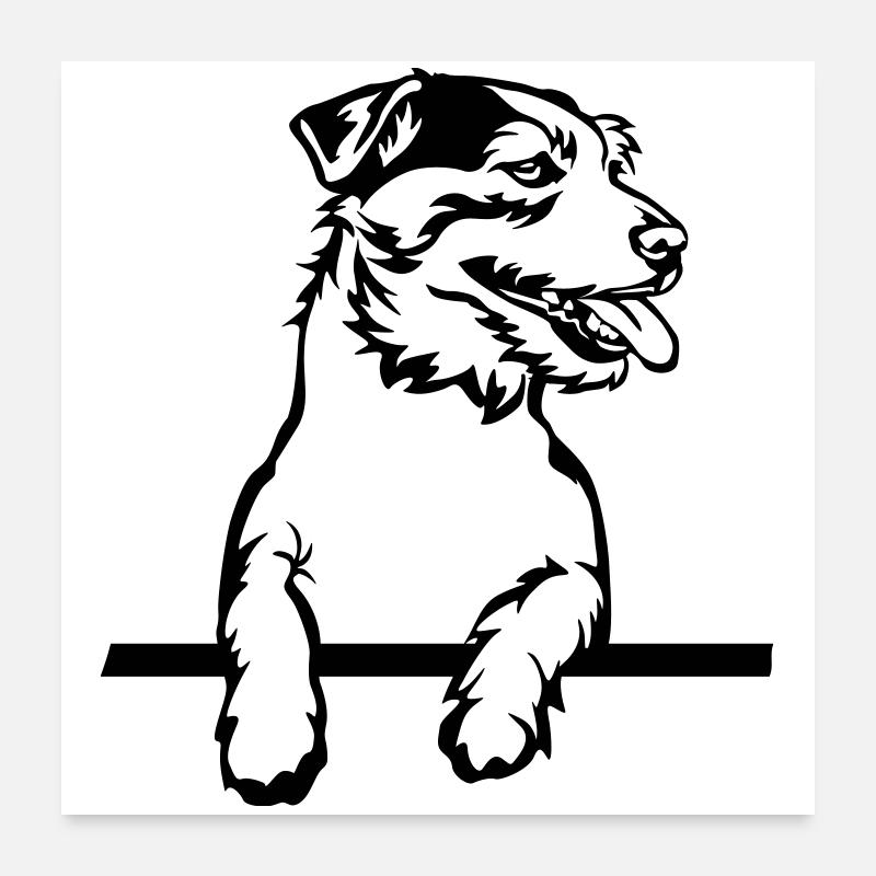 Jack Russell Terrier Poster 60x60 cm