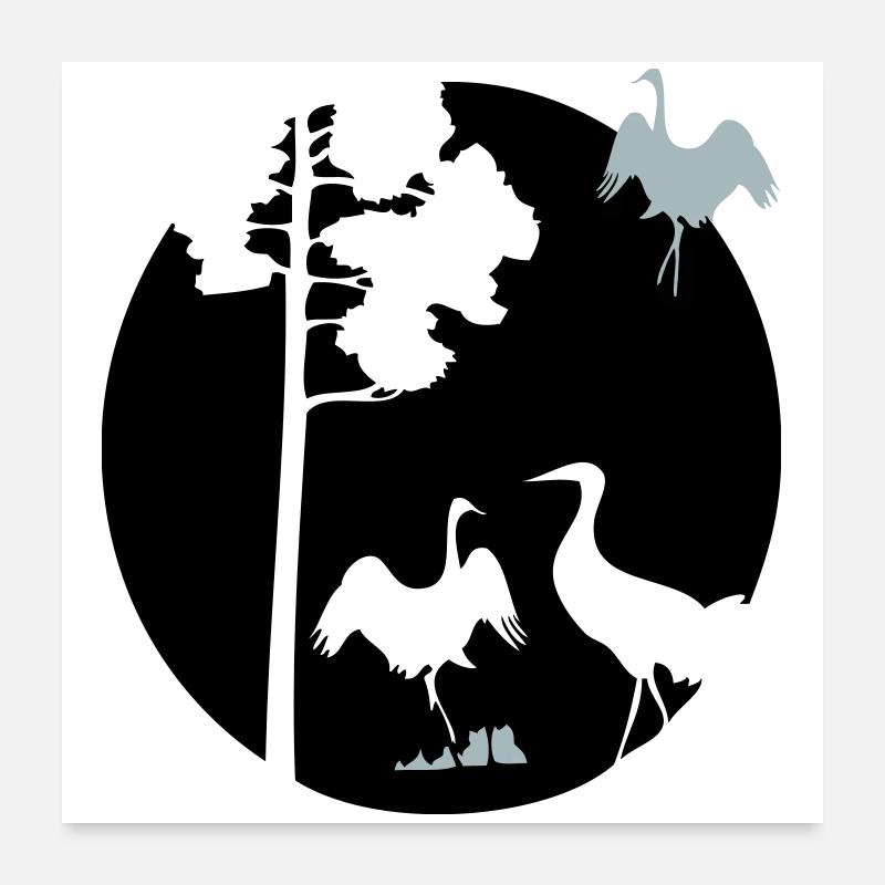 Afrika Kraniche - Poster 60x60 cm - Weiß