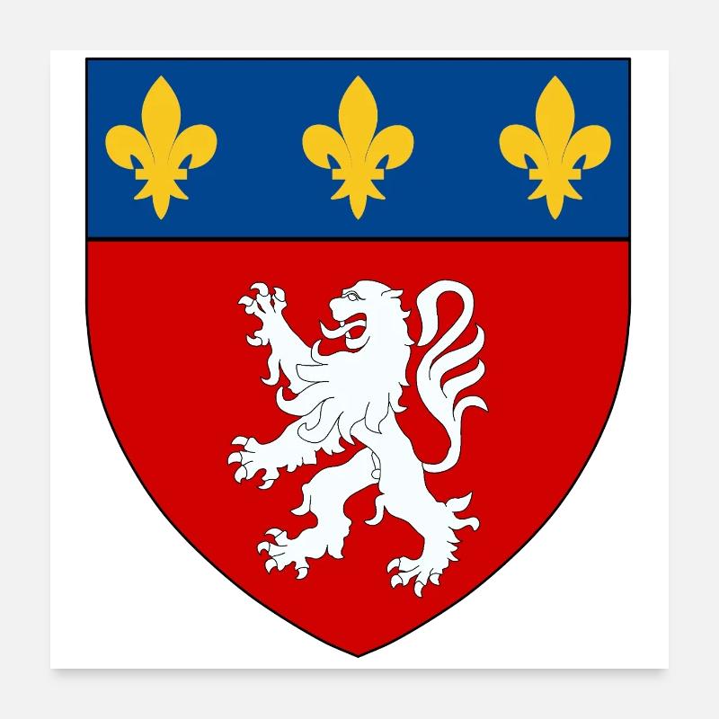 Heraldisches Wappen von Lyon Poster 60x60 cm