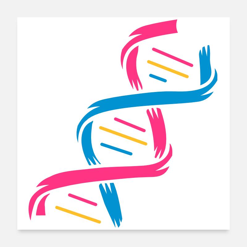 The structure of a DNA molecule Poster 24" x 24" (60x60 cm)