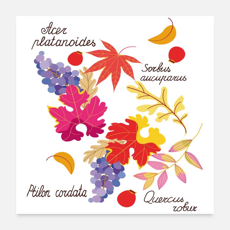 Feuilles d’automne et raisins Poster 60 x 60 cm