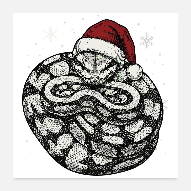 Königspython Weihnachten Ball Python Schlange Poster 60x60 cm