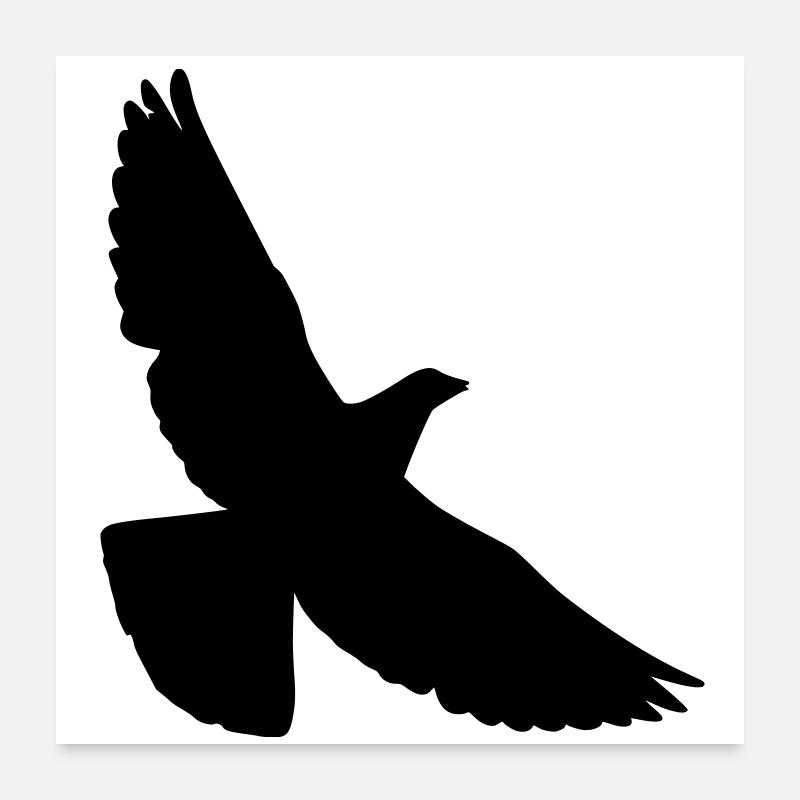 pigeon Poster 24" x 24" (60x60 cm)