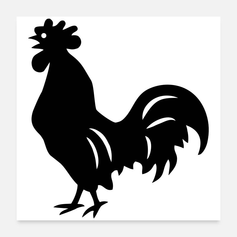 coq Poster 60 x 60 cm