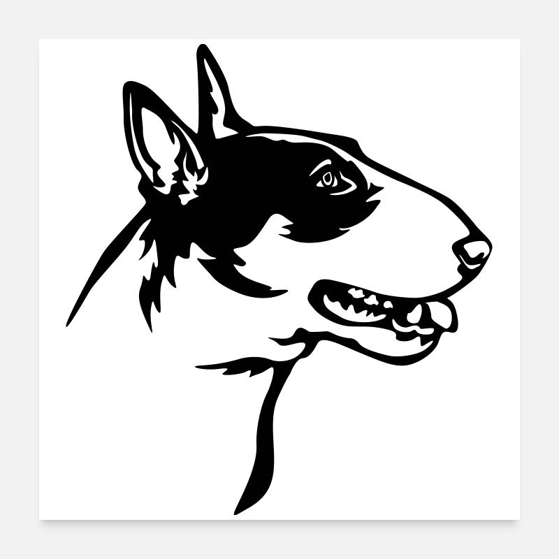 Tête de Bull Terrier Poster 60 x 60 cm