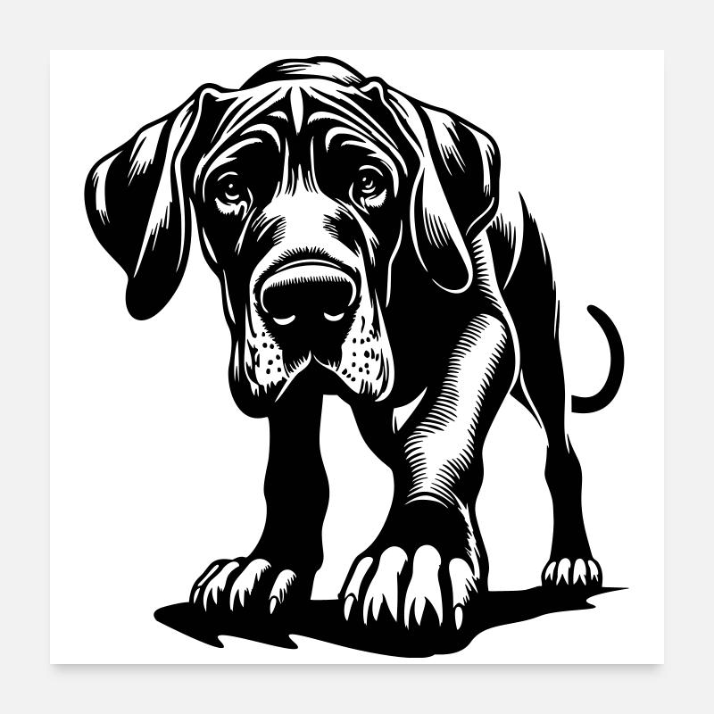 Great Dane Poster 24" x 24" (60x60 cm)