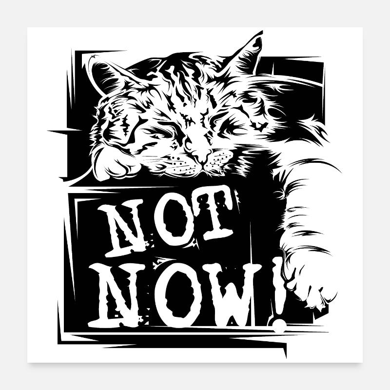 Cat Sleep Funny Sayings not now Pets Poster 24" x 24" (60x60 cm)