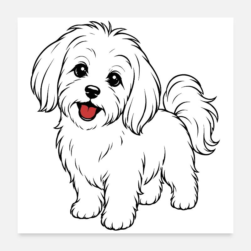 Maltese dog white Poster 24" x 24" (60x60 cm)