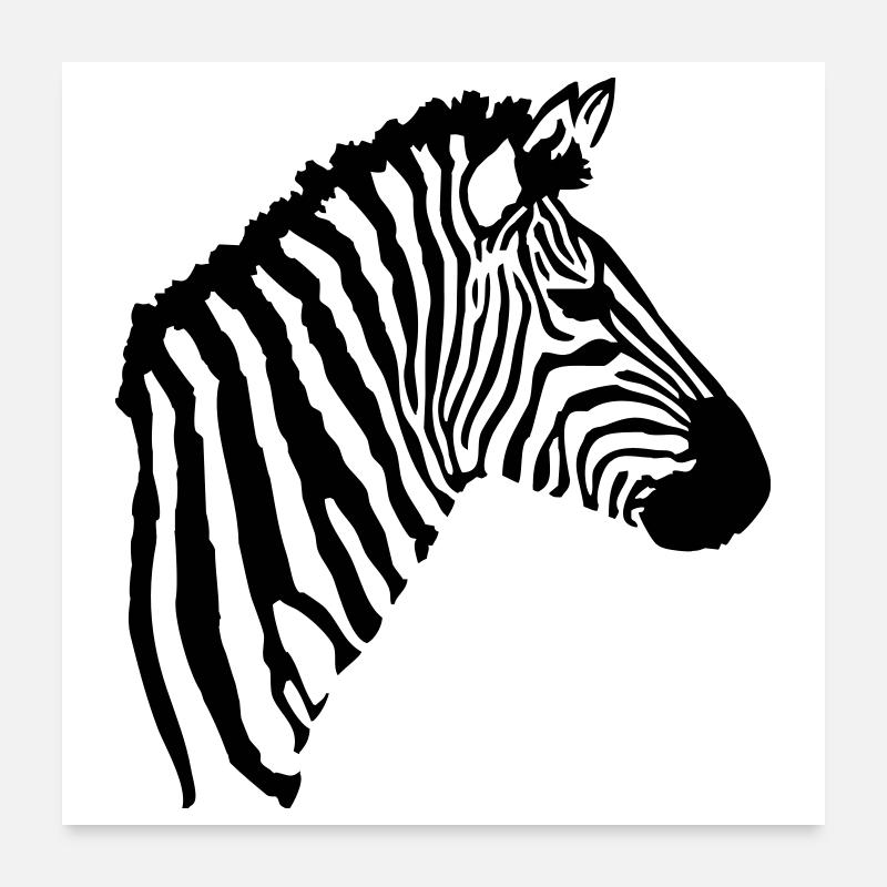 A zebra's head Poster 24" x 24" (60x60 cm)