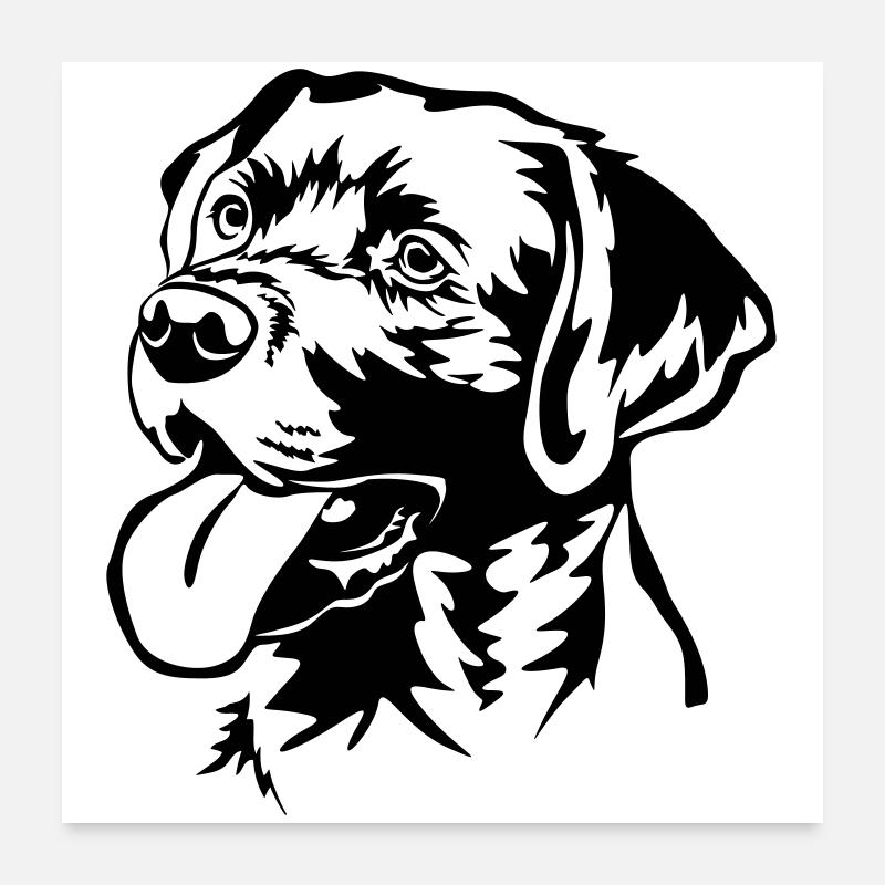 Labrador Retriever Head Poster 24" x 24" (60x60 cm)