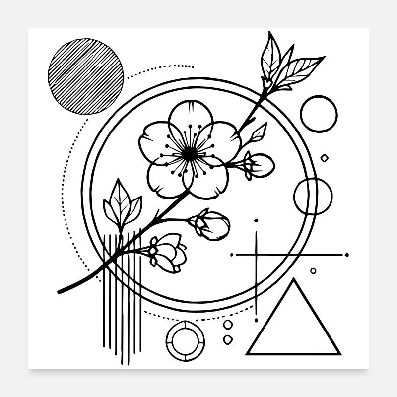 Fleurs de Sakura – L’équilibre esthétique de la nature - Poster 60 x 60 cm - blanc