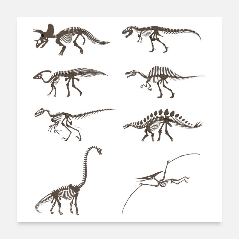 Vintage Dinosaur Skeleton Poster 24" x 24" (60x60 cm)