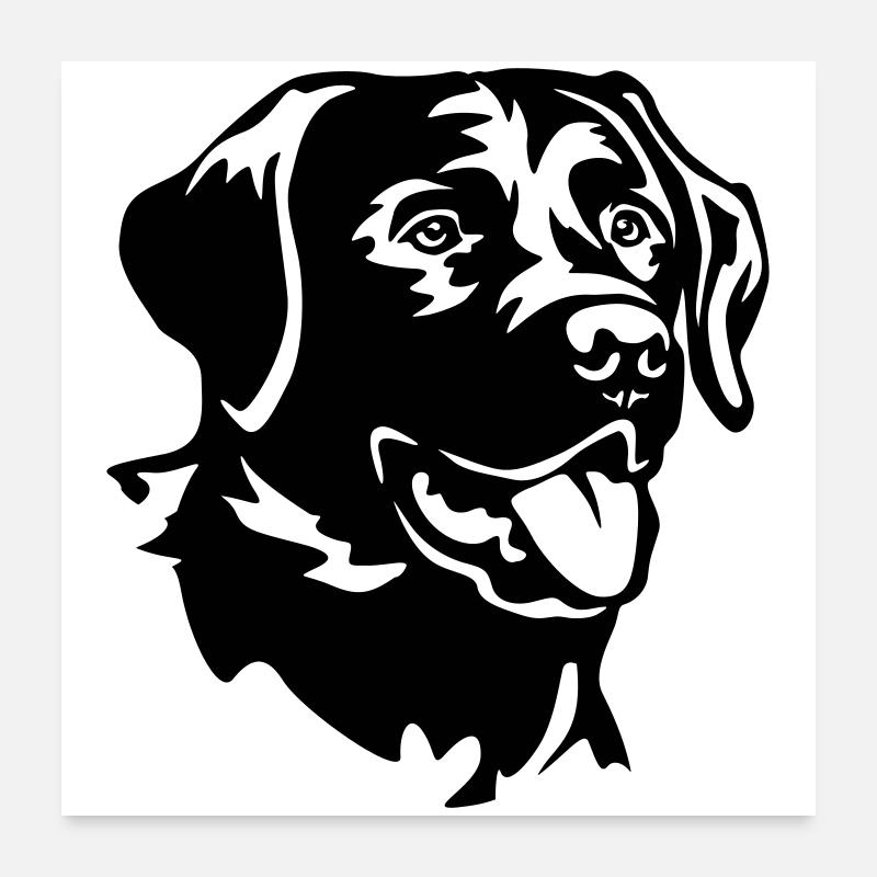 Tête de Labrador Poster 60 x 60 cm