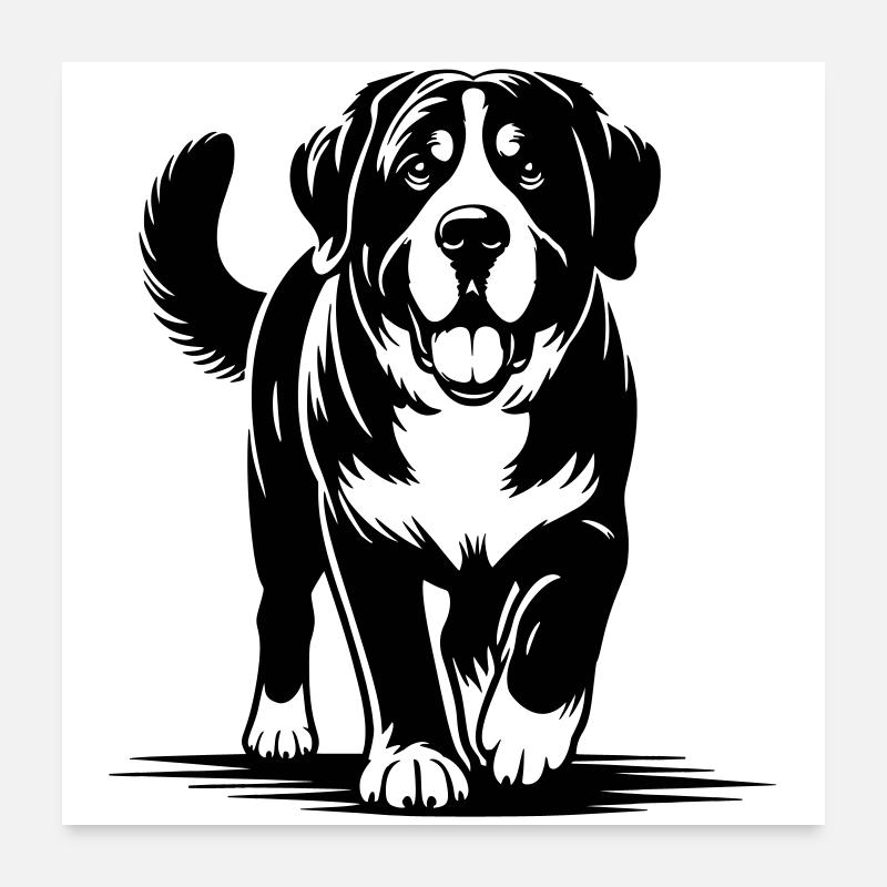 Bouvier suisse Poster 60 x 60 cm