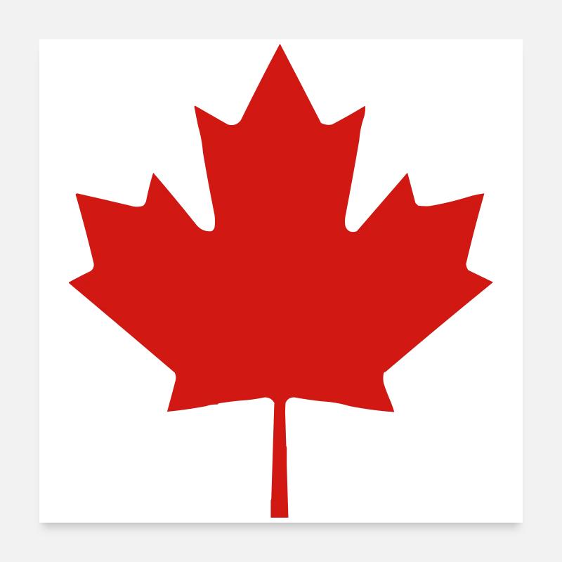 Maple Leaf Silhouettes Emblem Poster 24" x 24" (60x60 cm)