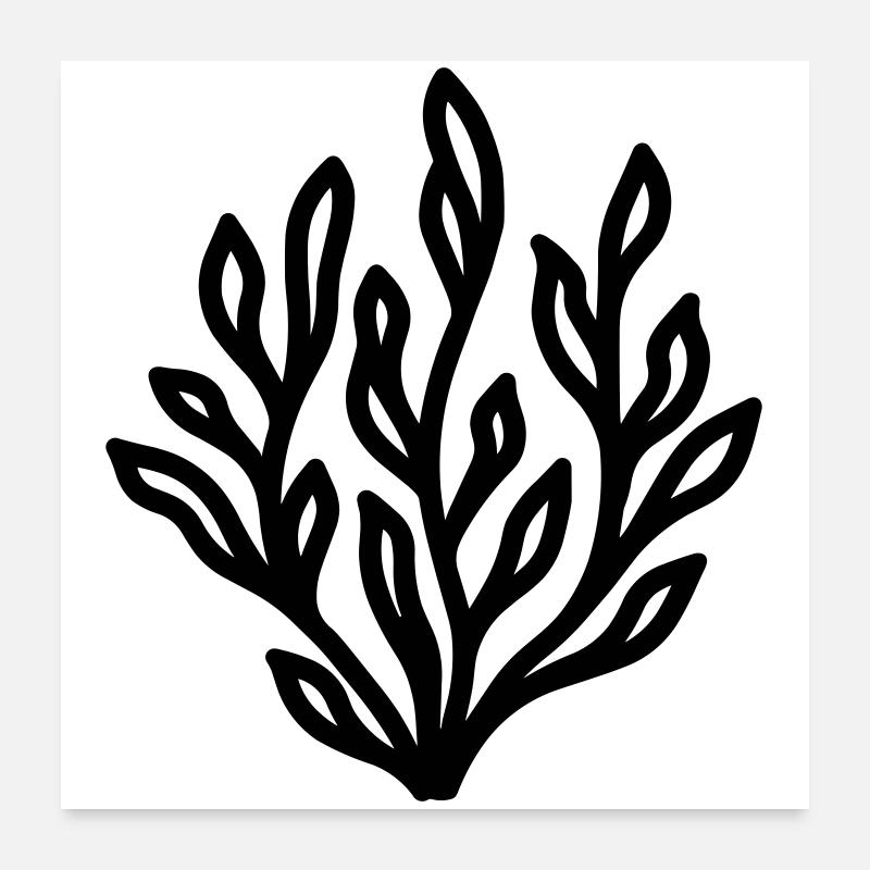 algue Poster 60 x 60 cm