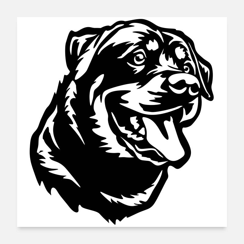 Rottweiler Kopf Poster 60x60 cm