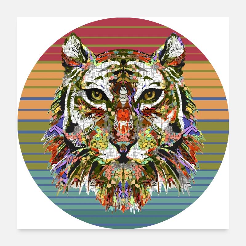 Tiger - Poster 60x60 cm - Weiß