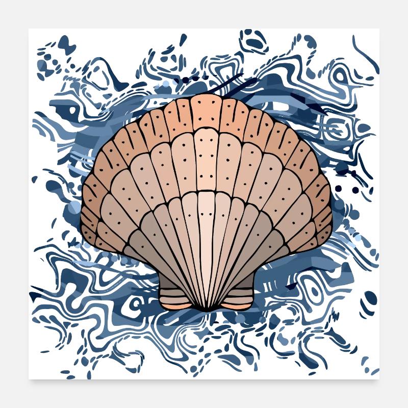 Muschel - Poster 60x60 cm - Weiß