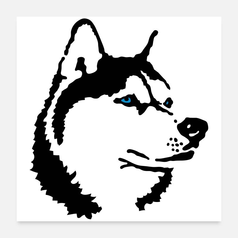 husky Poster 60 x 60 cm