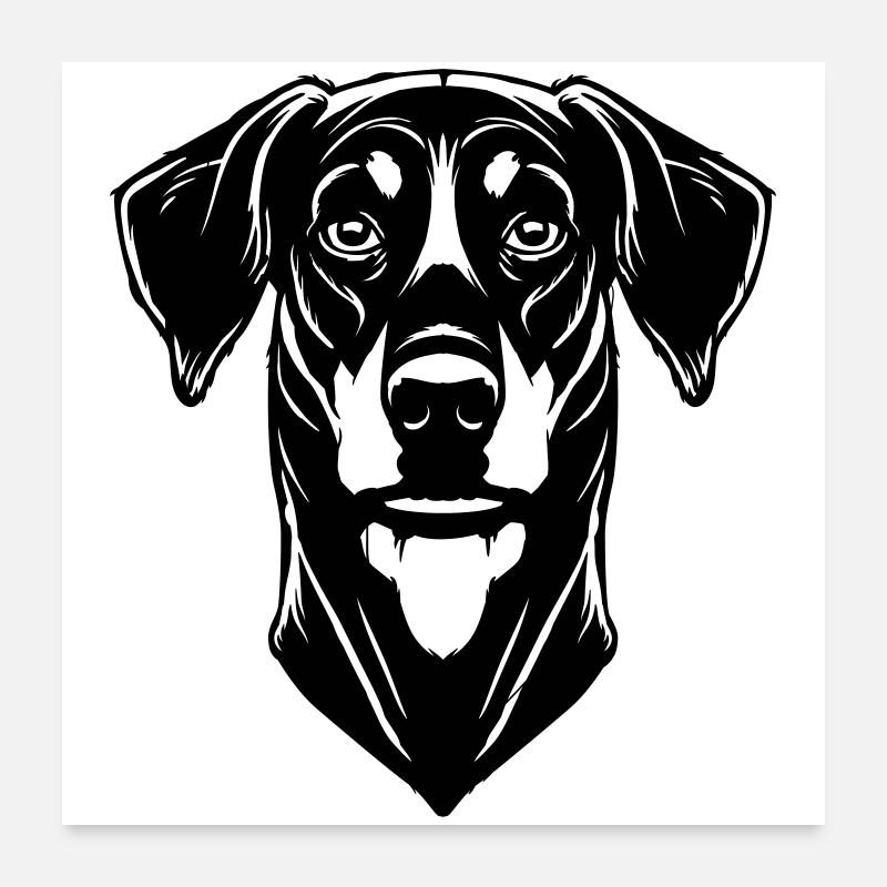 Dobermann Poster 60 x 60 cm