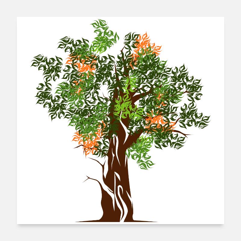 nature trees bäume baum wald colors Herbst spring Poster 60x60 cm