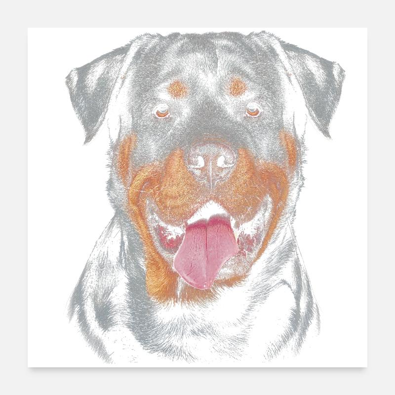 Rottweilerhund Poster 60x60 cm