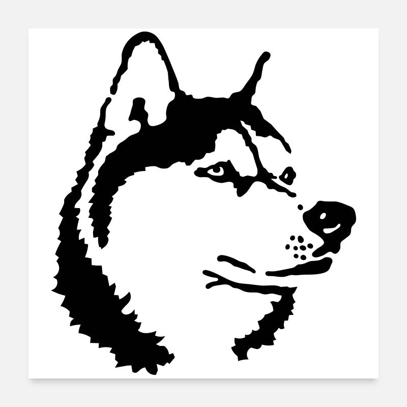 Husky - Poster 24" x 24" (60x60 cm) - white