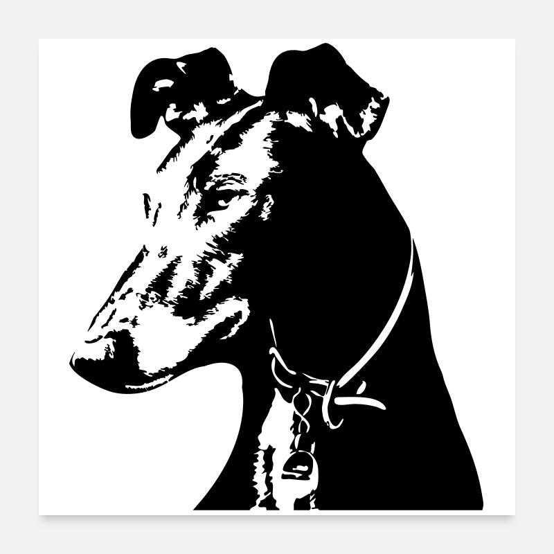Galgo Kopf Poster 60x60 cm