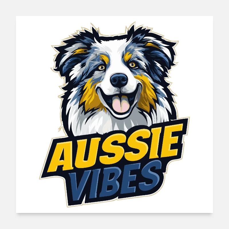 Australian Shepherd – AUSSIE VIBES - Poster 60x60 cm - Weiß