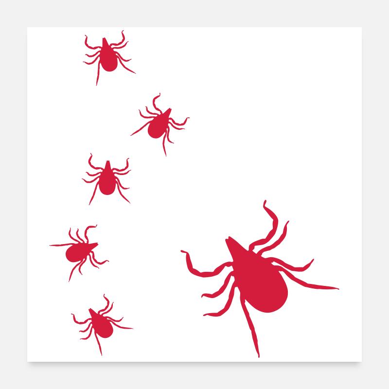 Zecken Poster 60x60 cm