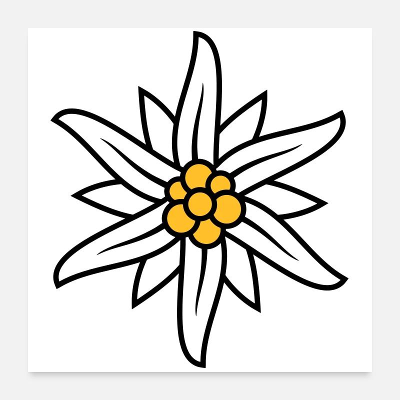 Edelweiss Bergblume logo Poster 24" x 24" (60x60 cm)