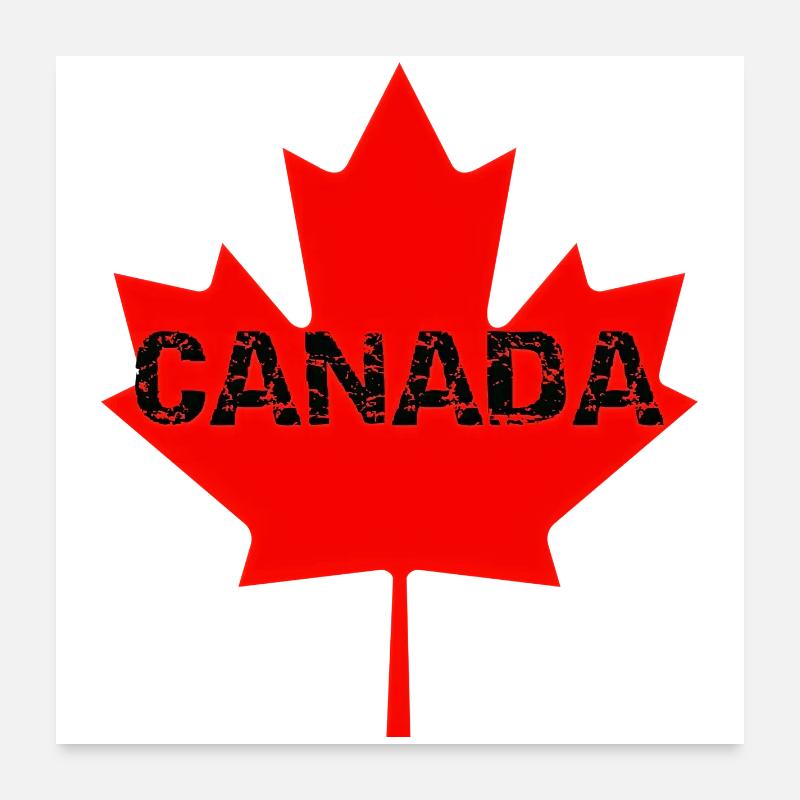 Faded Canada Maple Stamp Poster 24" x 24" (60x60 cm)