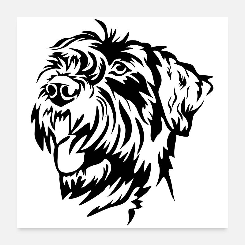 Tête de schnauzer géant Poster 60 x 60 cm