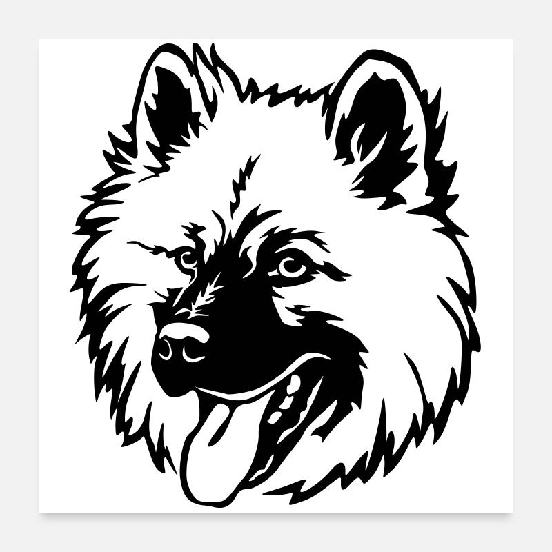 Eurasier Kopf - Poster 60x60 cm - Weiß