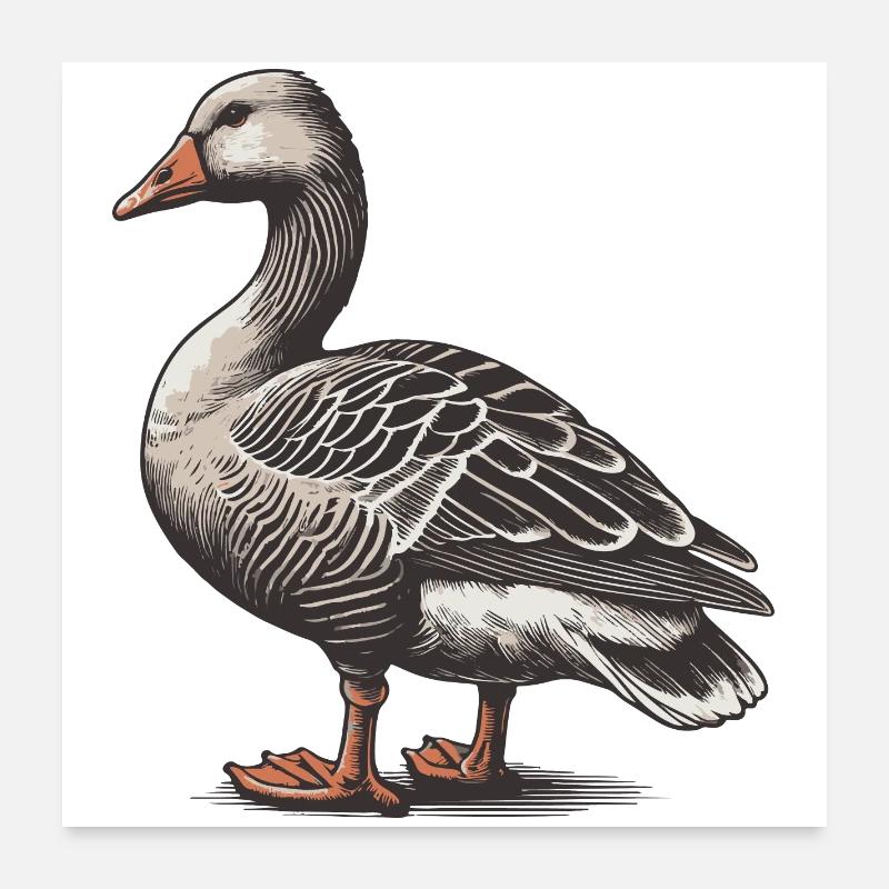 Goose - Poster 24" x 24" (60x60 cm) - white