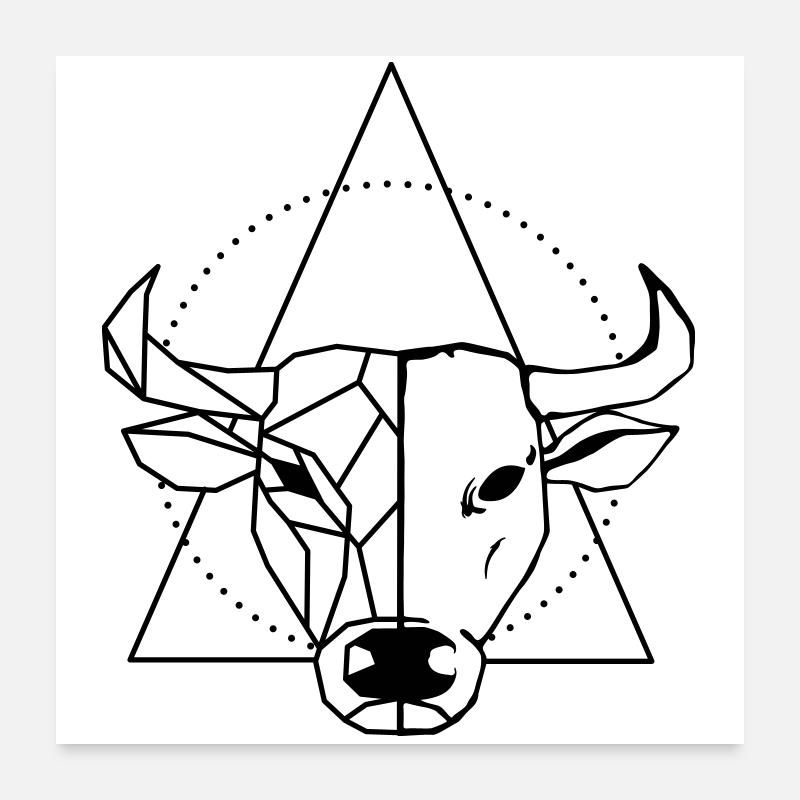 Ochse Poster 60x60 cm