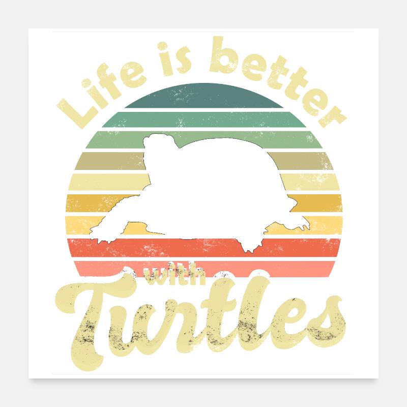 Schildkröte Schildkröten - Poster 60x60 cm - Weiß