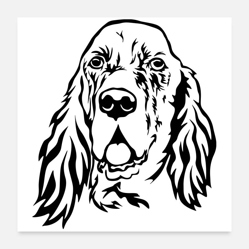 Englischer Setter Kopf Poster 60x60 cm